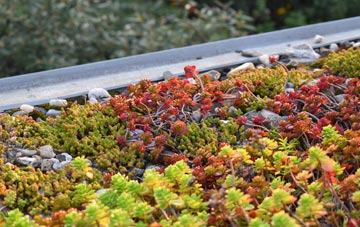 the cost of Branthwaite Edge green roof installation