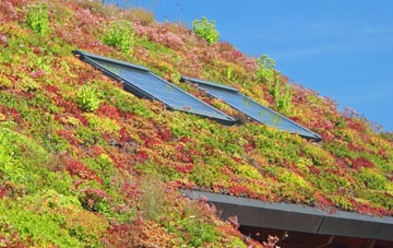 Branthwaite Edge living roof systems